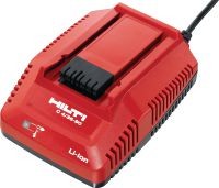 Cargador compacto C4/36-90